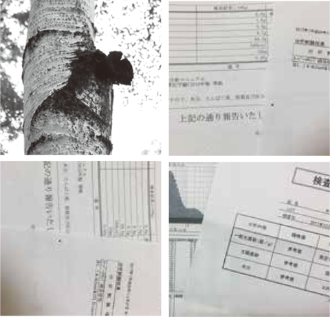 データ